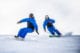 Skiing tips for beginners Sweet Snowsports